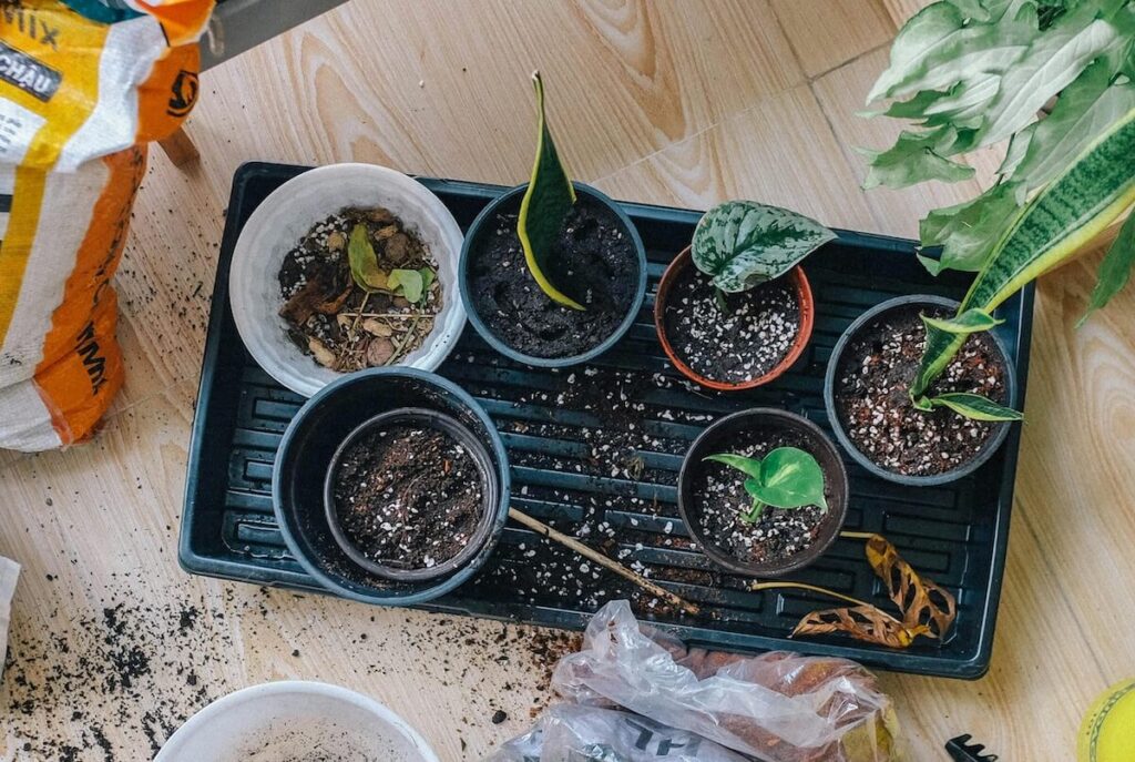 Help! Everyone can see my new website except me! I still see my old site!