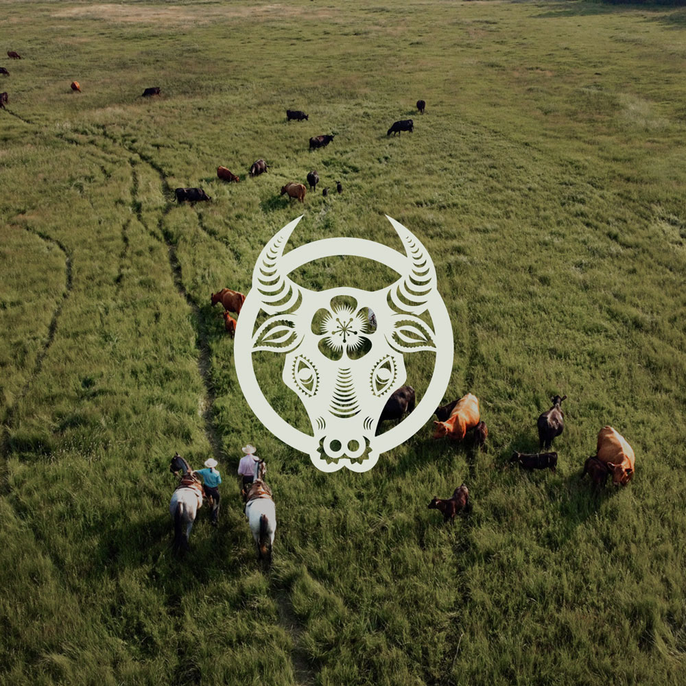 Oxbow Cattle Company